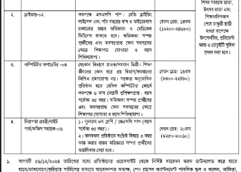 Job Circular 2025